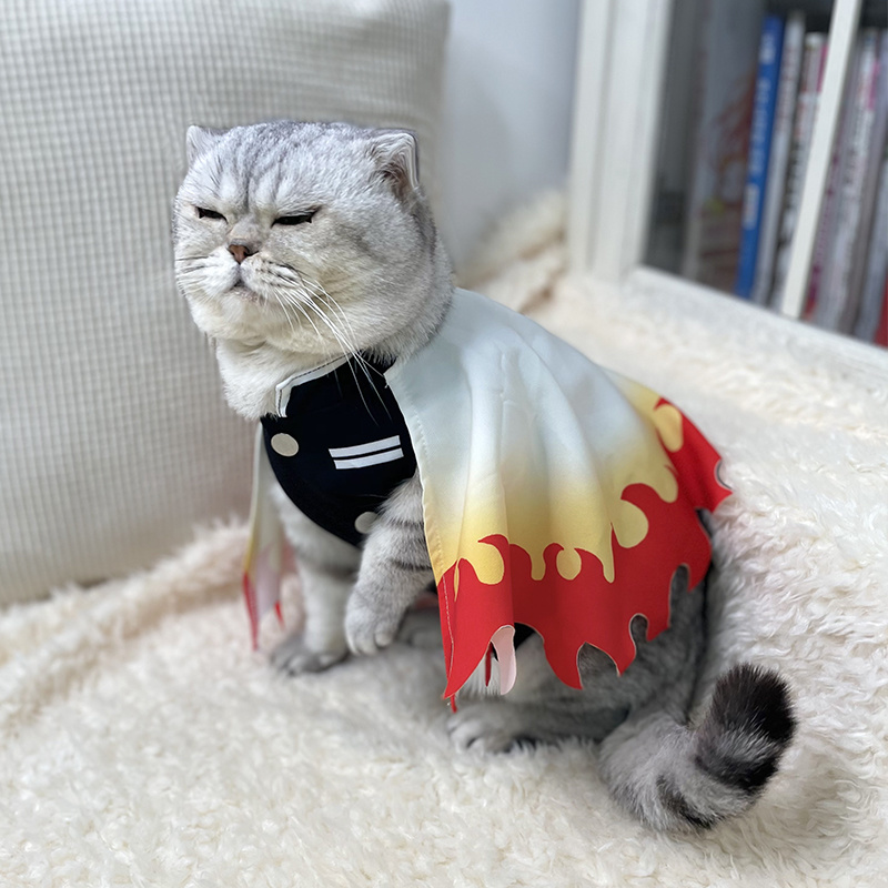 Demon Slayer Pet Cosplay Rengo - Cosplay Flame Prop ulasan dan harga